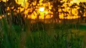 Zachody słońca nad Sztynortem, czerwiec 2021 - zdjęcie 21