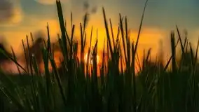 Zachody słońca nad Sztynortem, czerwiec 2021 - zdjęcie 24