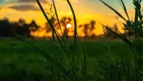 Zachody słońca nad Sztynortem, czerwiec 2021 - zdjęcie 28