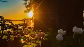 Jezioro Kirsajty o zachodzie słońca - zdjęcie 31