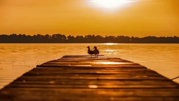 Zachód słońca nad jeziorem Mamry, czerwiec 2021 - zdjęcie 5