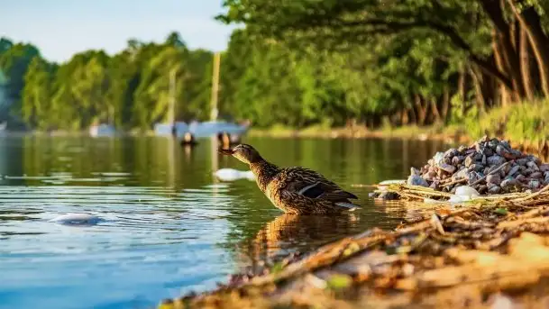 Zachód słońca nad jeziorem Mamry, czerwiec 2021 - zdjęcie 11