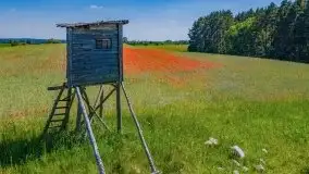 Czerwcowe Mazury, kompilacja niewykorzystanych zdjęć, 2021 - zdjęcie 5