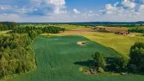 Czerwcowe Mazury, kompilacja niewykorzystanych zdjęć, 2021 - zdjęcie 61