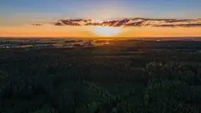 Czerwcowe Mazury, kompilacja niewykorzystanych zdjęć, 2021 - zdjęcie 97