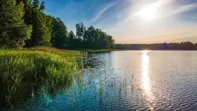 Czerwcowe Mazury, kompilacja niewykorzystanych zdjęć, 2021 - zdjęcie 37