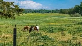 Czerwcowe Mazury, kompilacja niewykorzystanych zdjęć, 2021 - zdjęcie 100