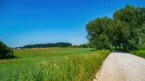 Czerwcowe Mazury, kompilacja niewykorzystanych zdjęć, 2021 - zdjęcie 87