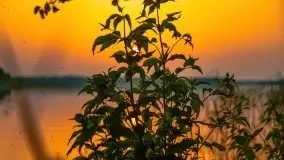 Zachód słońca nad jeziorem Kirsajty - zdjęcie 28