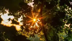 Zachód słońca nad jeziorem Dejguny, lipiec 2021 r. - zdjęcie 9