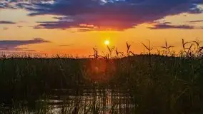 Zachód słońca nad jeziorem Dejguny, lipiec 2021 r. - zdjęcie 23