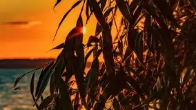 Zachód słońca nad jeziorem Dejguny, lipiec 2021 r. - zdjęcie 11