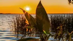 Zachód słońca w Fuledzie nad jeziorem Dobskim - zdjęcie 34