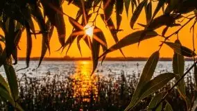 Zachód słońca w Fuledzie nad jeziorem Dobskim - zdjęcie 37