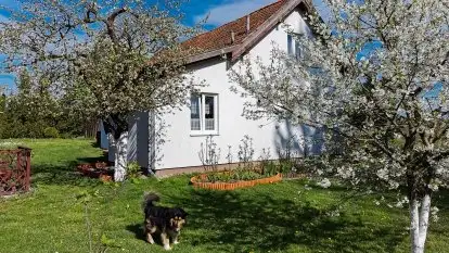 Dom całoroczny u Zofii w Rynie - zdjęcie 7