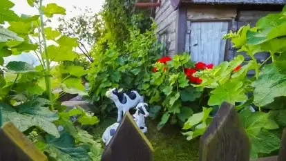 Niebieska Tawerna - zdjęcie 25