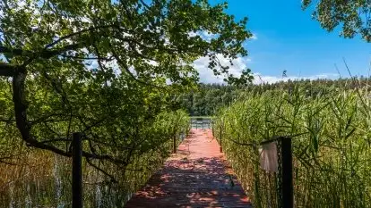 Ośrodek Wypoczynkowy Nova Mazury - zdjęcie 45