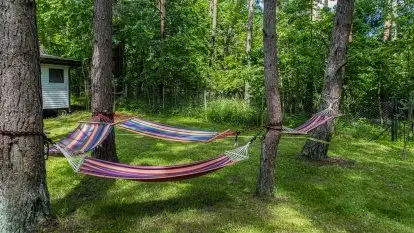 Sosnowy Raj - Domki na Mazurach - zdjęcie 19