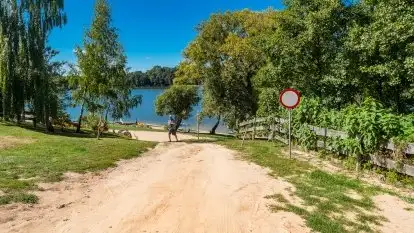 Pensjonat, domki - Kalinowe Wzgórze - zdjęcie 12