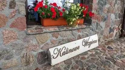 Pensjonat, domki - Kalinowe Wzgórze - zdjęcie 49