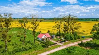 Domek wśród pól - zdjęcie 14