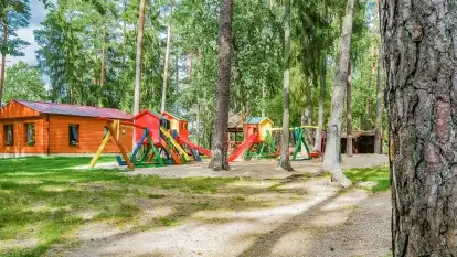 Mazurski Gaj  - zdjęcie 3