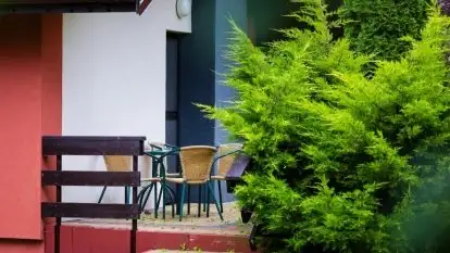 Hotel *** Ognisty Ptak - zdjęcie 10