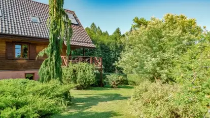 Nowa galeria - zdjęcie 25