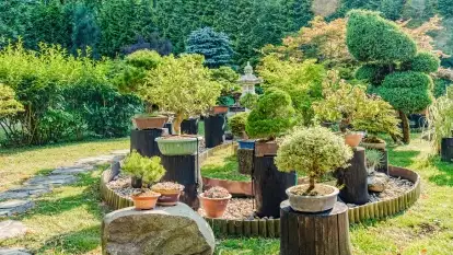 Nowa galeria - zdjęcie 43