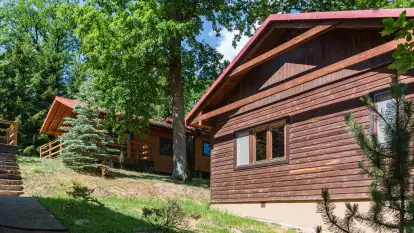 Ośrodek Wypoczynkowy Łabędzi Ostrów - zdjęcie 15