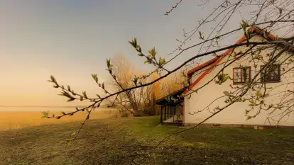 Siedlisko nad Mamrami - zdjęcie 29