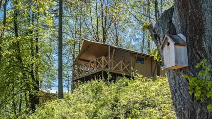 Glamila - Wioska Wakacyjna - zdjęcie 67