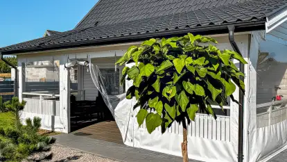 Domek Fuleda - zdjęcie 24