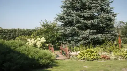 U Jagody Kamionki - zdjęcie 13