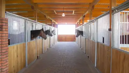 Herrmanns Hof - zdjęcie 22