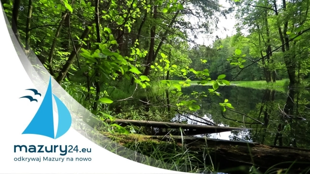 Podpatrzona mazurska flora i fauna