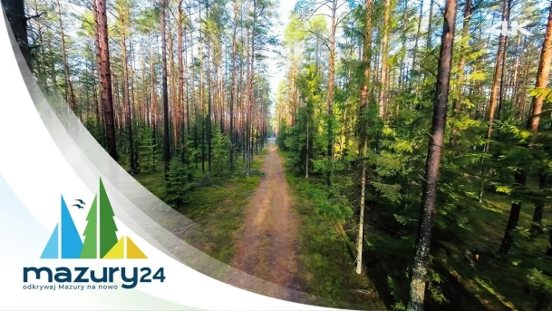 Spacer po lesie - Puszcza Piska