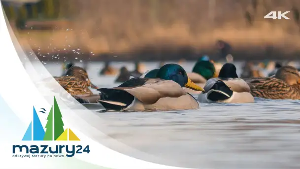 Mazurskie inspiracje, zima 2023, 4K