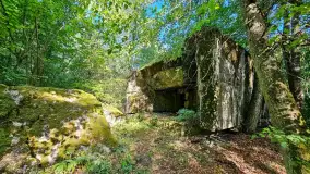 Bunkier, kwatera Hansa Lammersa