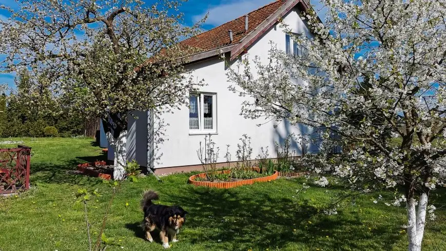 Siedlisko u Zofii - Ryn