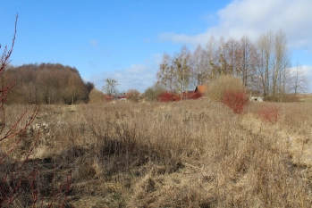 Działka rolna 4442 m2 blisko jeziora Białoławki - zdjęcie 10