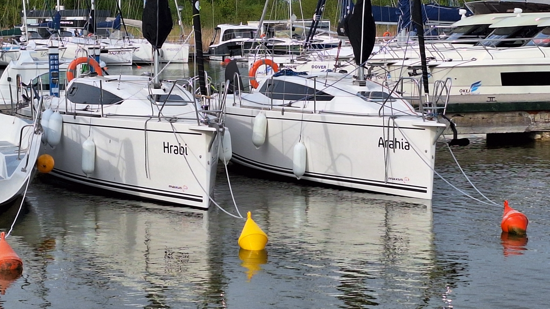 Maxus 24 Evo - sprzedam