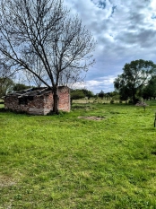 Działka siedliskowa w Zabielne 4 km od jeziora Roś - zdjęcie 5