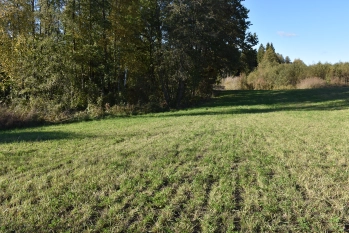 Działka rekreacyjna w Świętajnie powiat Olecki - zdjęcie 4