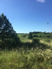 DZIAŁKA 29 ha GRZYBINY, DZIAŁDOWO, NIDZICA - zdjęcie 15