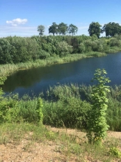 DZIAŁKA 29 ha GRZYBINY, DZIAŁDOWO, NIDZICA - zdjęcie 12