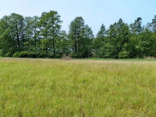 Działka z linią brzegową jeziora Wygryny w Wygrynach - zdjęcie 14