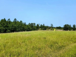 Działka z linią brzegową jeziora Wygryny w Wygrynach - zdjęcie 8