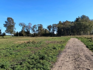 6 dużych działek rekreacyjnych 150 m od jeziora Roś - zdjęcie 9