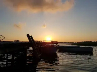 Agroturystyka Villa Maximilian - zdjęcie 14